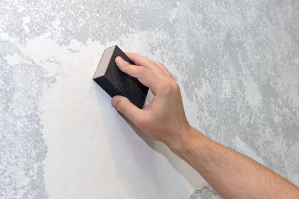 Best Real Estate Mold Inspection  in Bryans Road, MD