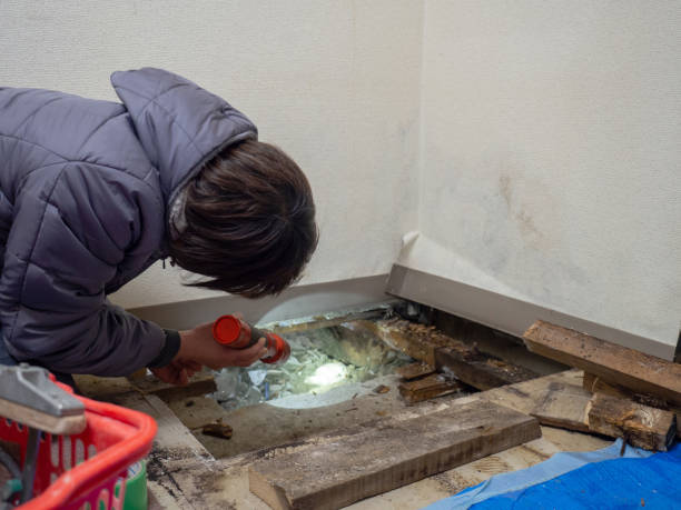 Best Post-Construction Mold Inspection  in Bryans Road, MD