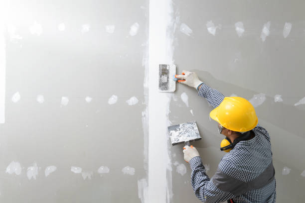 Best Basement Mold Removal  in Bryans Road, MD